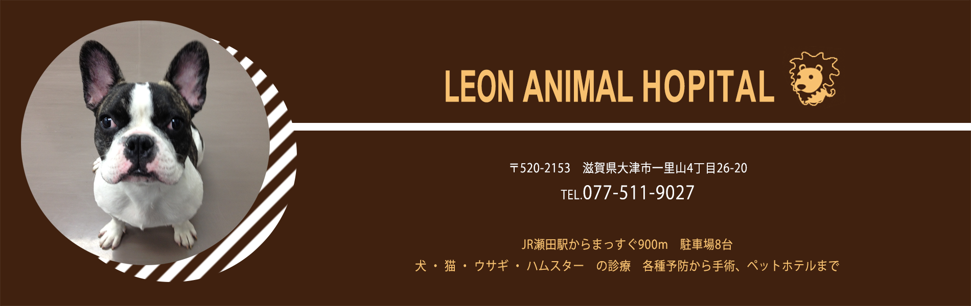 滋賀県大津市の動物病院 ペット 犬 猫 うさぎ ハムスター の簡易治療から高度医療まで提供するレオン動物病院 滋賀県大津市 の動物病院です 病気 予防接種から難しい病気まで 高水準の一次診療の提供を目指します